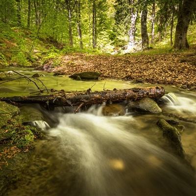 2023澳门管家婆资料正版大全app下载截图